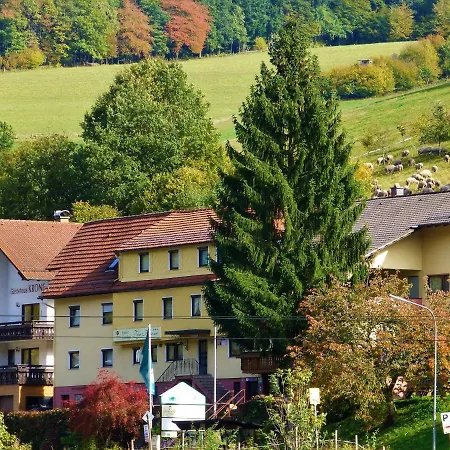 Hotel Zur Krone Odenwald-sterne-hotel 3*