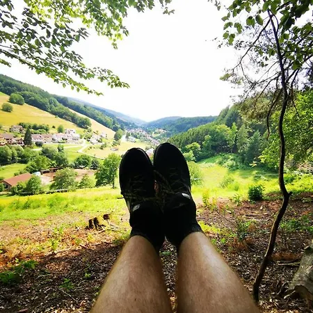 Zur Krone Odenwald-sterne-hotel