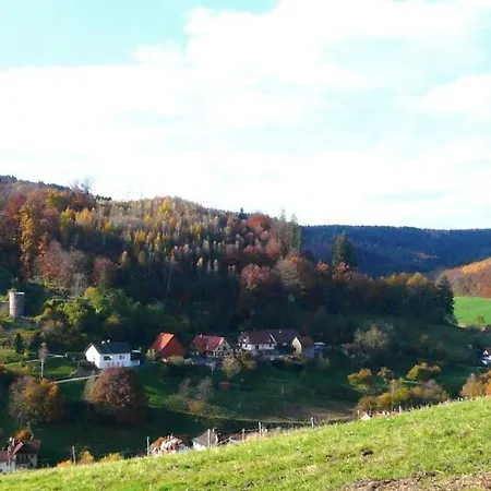 Zur Krone Odenwald-sterne-hotel 3* Oberzent