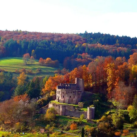 Hotel Zur Krone Odenwald-sterne-hotel 3*