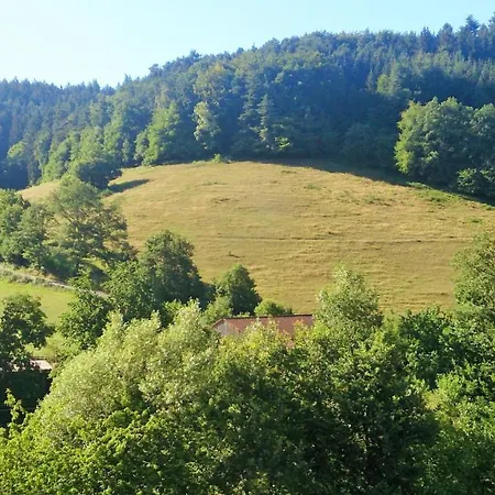 Zur Krone Odenwald-sterne-hotel Oberzent