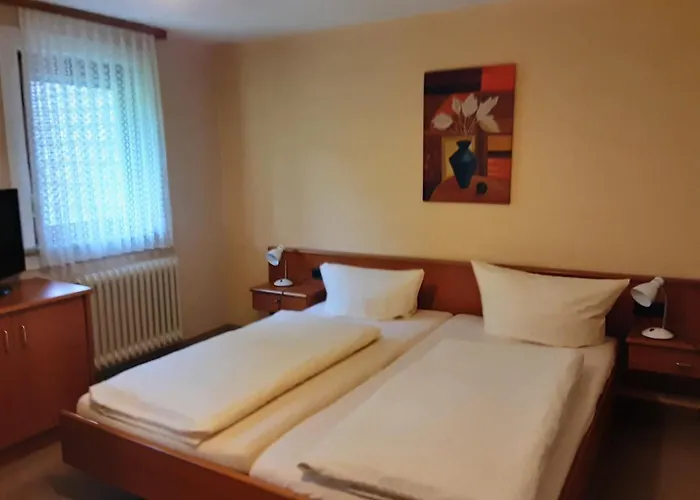 Hotel Gasthof Zur Krone Odenwald-sterne-hotel