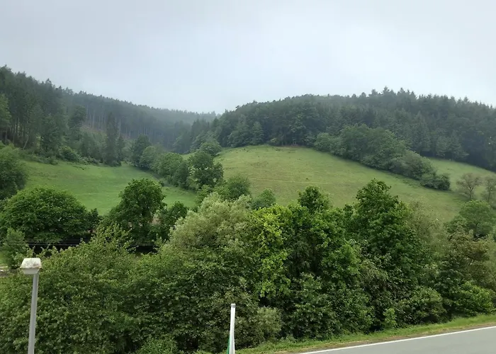 Gasthof Zur Krone Odenwald-sterne-hotel 3* Oberzent