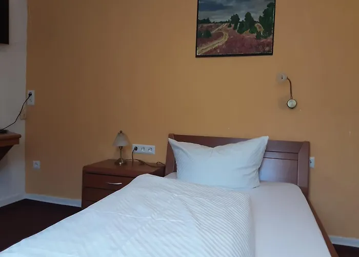 Gasthof Zur Krone Odenwald-sterne-hotel Hotel 3*