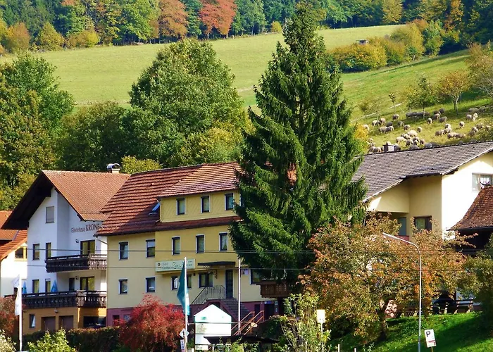 Hotel Gasthof Zur Krone Odenwald-sterne-hotel 3*