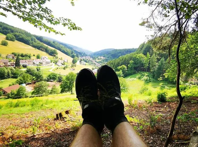 Gasthof Zur Krone Odenwald-sterne-hotel