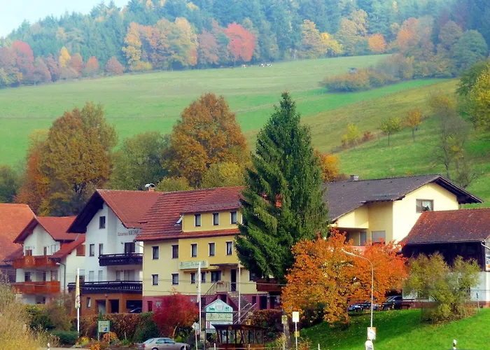 Hotel Gasthof Zur Krone Odenwald-sterne-hotel 3*