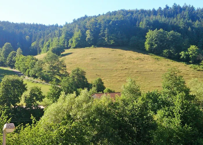 Hotel Gasthof Zur Krone Odenwald-sterne-hotel